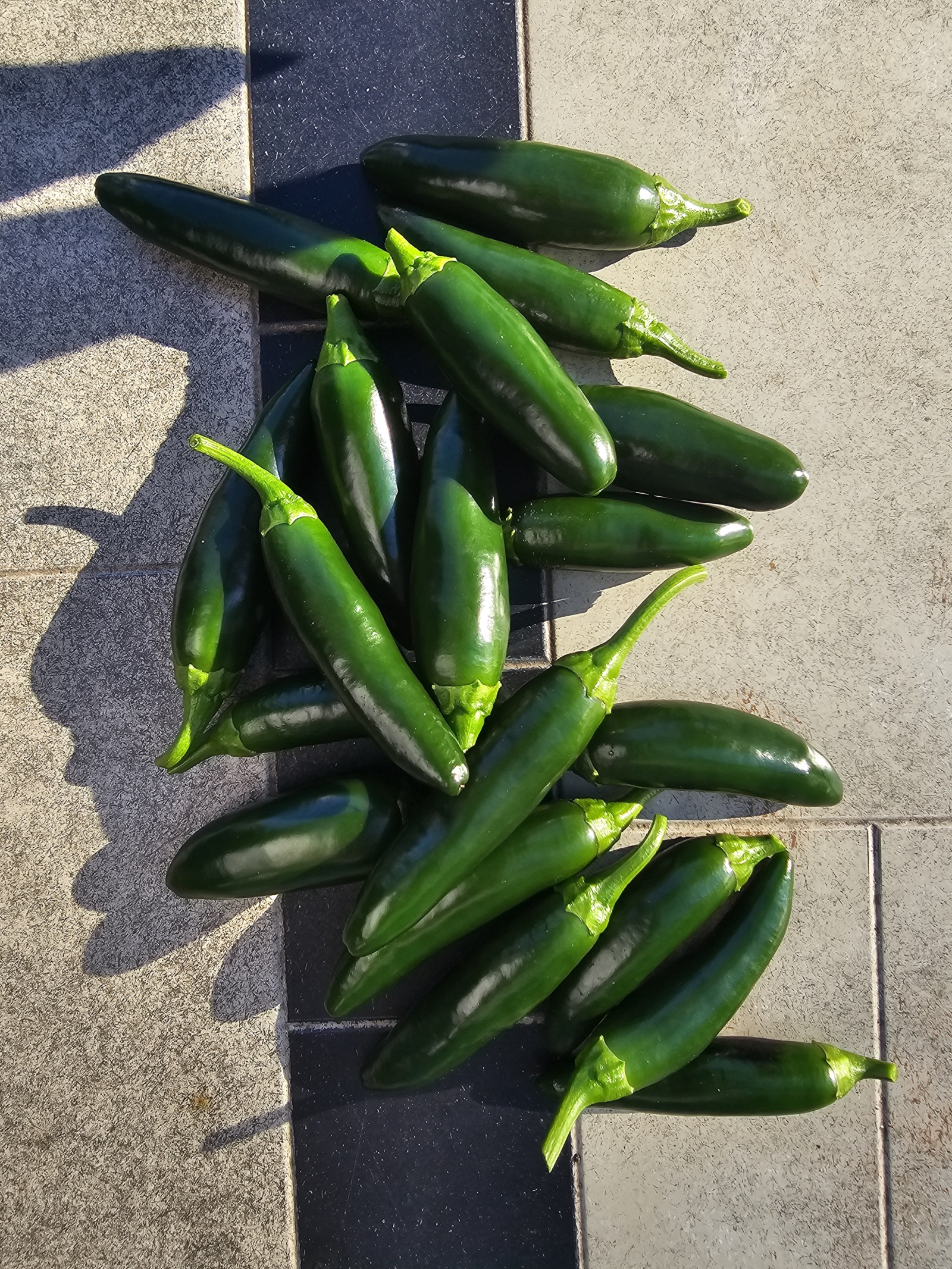 Jalapeño background